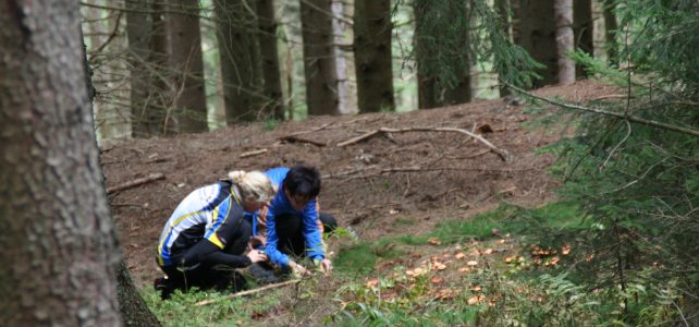 11. ÖSTM Orientierungslauf 18.-19. Mai 2019 in Tirol 11. ÖSTM Orientierungslauf 18.-19. Mai 2019 in Tirol